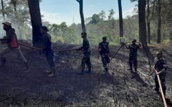 Heboh, Hutan Pinus Malino di Gowa Terbakar