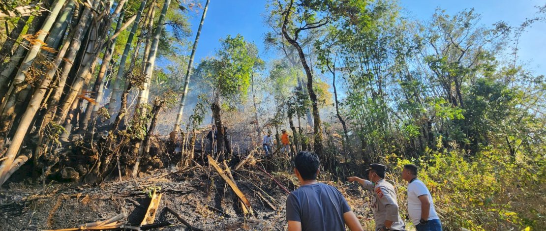 Tim Gabungan Berhasil Padamkan Karhutla di Hutan Pinus Malino