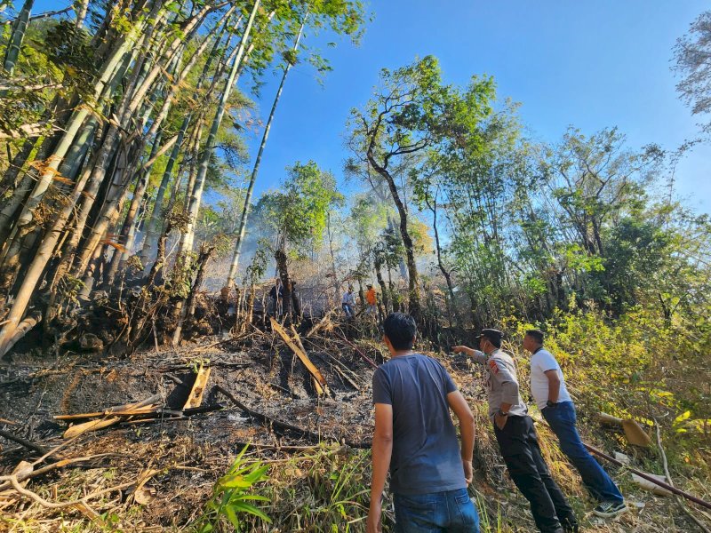 Tim Gabungan Berhasil Padamkan Karhutla di Hutan Pinus Malino