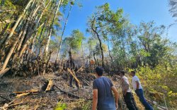 Tim Gabungan Berhasil Padamkan Karhutla di Hutan Pinus Malino