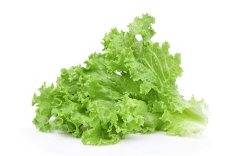 10 Manfaat Daun Selada yang Jarang Orang Tahu, Salah Satunya Menguatkan Tulang