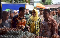 Harga Beras di Palopo Meroket, Naik Hingga Rp5 Ribu Per Kilo