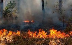 Duka Bone: 2 Hari Berturut-Turut 2 Warga Ditemukan Meninggal Terbakar