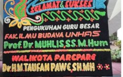 Taufan Pawe Beri&nbsp;Selamat atas Pengukuhan Guru Besar Muhlis Hadrawi