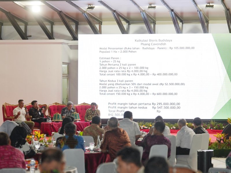 Pj Gubernur Sulsel Gandeng OJK Bangun Ekosistem Bisnis Budidaya Pisang