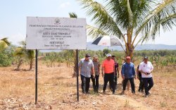 Pj Gubernur Bahtiar Minta Kebun Raya Pucak Ditanami Flora Khas Sulsel