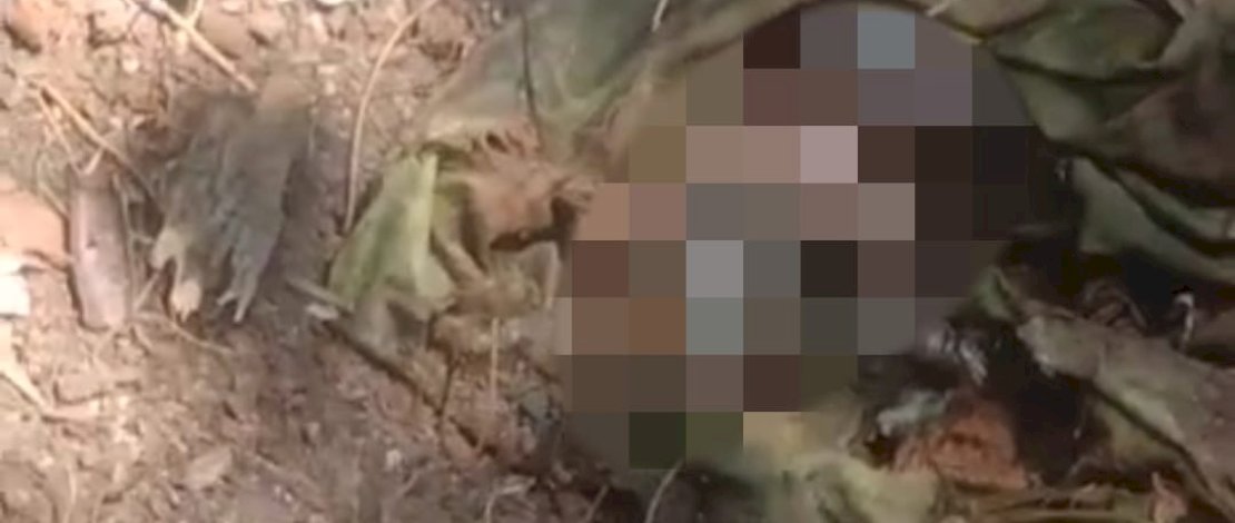 Lagi Asik Main Layangan, Warga Di Bone  Temukan Mayat Bayi Perempuan