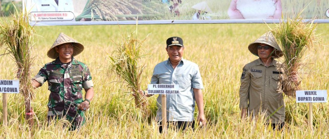 PJ Gubernur Sulsel Bahtiar hadiri panen raya di gowa PJ Gubernur Sulsel Bahtiar hadiri panen raya di gowa