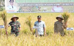 Petani Sulsel Tangguh di Tengah El Nino: Setelah Maros, Gowa Juga  Panen Raya