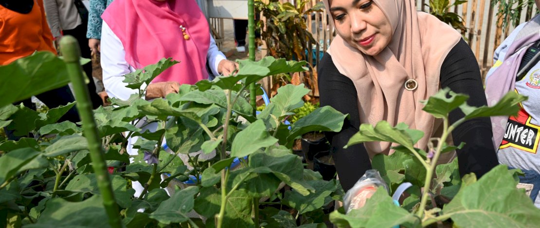 Pj Ketua TP PKK Sulsel, Sofha Marwah Bahtiar, berkunjung ke salah satu lorong binaan TP PKK Kota Makassar, di Kelurahan Maccini Sombala, Kecamatan Tamalate. Pj Ketua TP PKK Sulsel, Sofha Marwah Bahtiar, berkunjung ke salah satu lorong binaan TP PKK Kota Makassar, di Kelurahan Maccini Sombala, Kecamatan Tamalate.