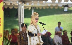 Bupati Luwu Utara Minta Pemuda Ikut Berkontribusi untuk Pembangunan