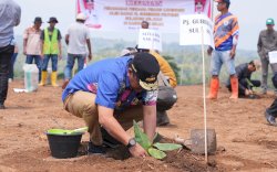 Bahtiar Berikhtiar, Tetap Budidaya Pisang Meski Tak Lagi Jabat Gubernur Sulsel 