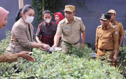 Tito Karnavian Jadikan Makassar Sebagai Kota Percontohan Pengendalian Inflasi Cabai