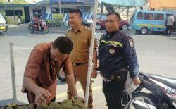 Lurah Tompo Balang Muh Yunus Tertibkan PKL di Jalan Gunung Bawakaraeng dan Masjid Raya
