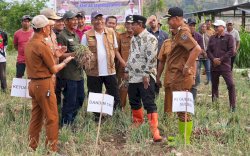 Produksi Bawang Merah  Petani Enrekang Berkurang Akibat El Nino, Pemprov Sulsel Bakal Bantu Sumur Bor 