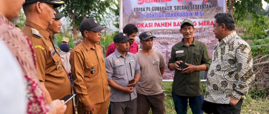 Atasi Masalah&nbsp; Distribusi Hasil Tani Bawang Merah di Enrekang, Pemprov Sulsel Siapkan Skema Bisnis Hulu ke Hilir