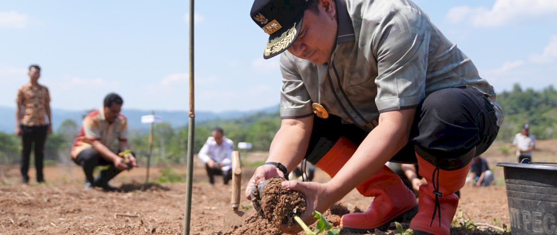 Pj Gubernur Bahtiar Ajarkan  Cara Kembangkan Bibit Pisang ke  Petani Enrekang 