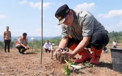 Pj Gubernur Bahtiar Ajarkan  Cara Kembangkan Bibit Pisang ke  Petani Enrekang 