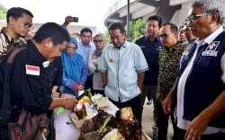 Tingkatkan Pendapatan dan Kesejahteraan Penyuluh Pertanian, Pj Gubernur Dorong Tanam Pisang