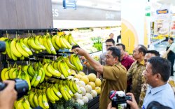 Sulsel Siap Penuhi Kebutuhan Pisang Cavendish Nasional Hingga Ekspor