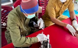  Pelayanan Kesehatan Hewan Gratis di Konter Sudiang Raya Kecamatan Biringkanaya
