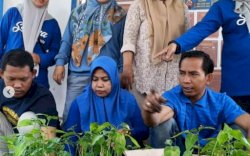 Lurah Sudiang Raya Salurkan 600 Bibit Cabe di Lorong Wisata
