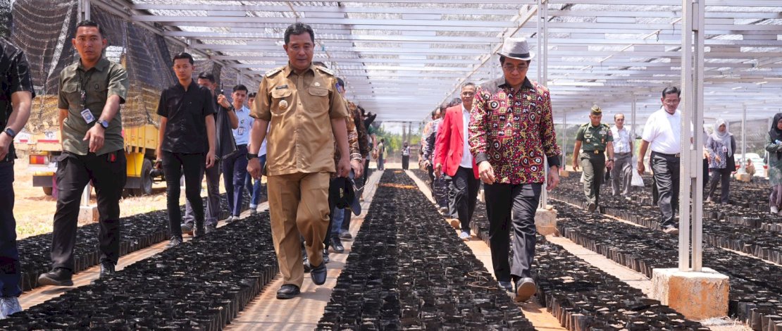 Launching Berjuta Bibit Pisang Cavendish, di Pusat Pembibitan Pisang Unhas, Kamis, 16 November 2023. 