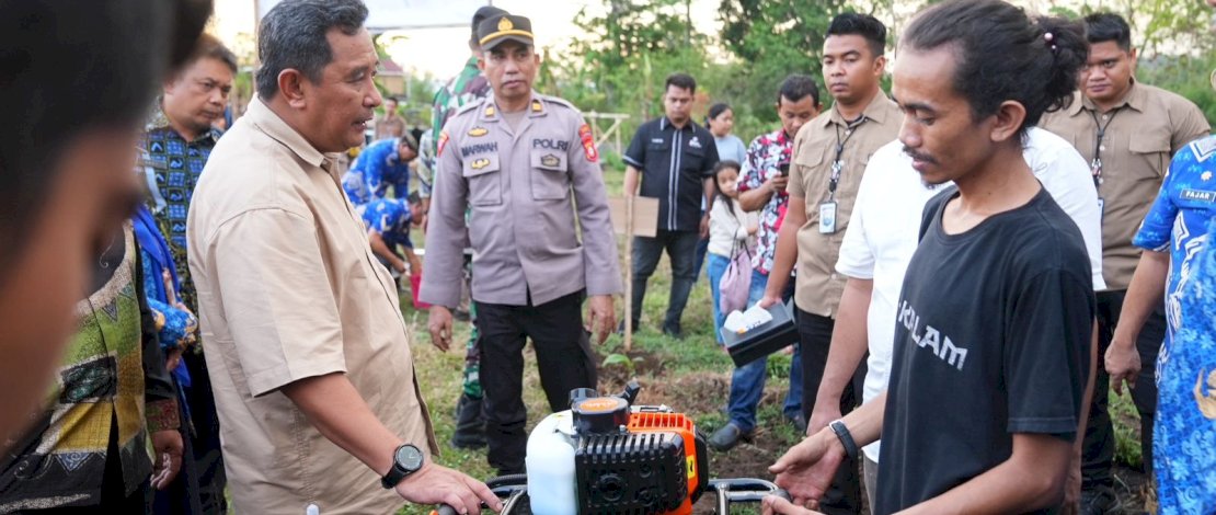 Budidaya Pisang Cavendish, Pemkab Gowa Siapkan Lahan 3.600 Hektar Budidaya Pisang Cavendish, Pemkab Gowa Siapkan Lahan 3.600 Hektar