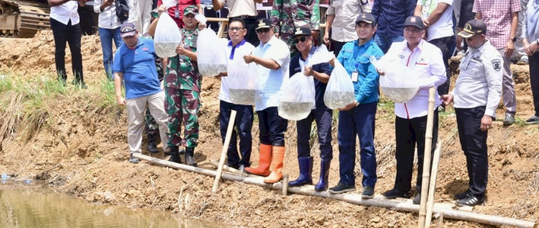 Pj Gubernur Sulsel Bahtiar Baharuddin, bersama Kepala Dinas Kelautan dan Perikanan Sulsel, Muhammad Ilyas, dan Pj Bupati Bone, Andi Islamuddin, melepas 50.000 ekor benih ikan Nila di Desa Tellongeng, Kecamatan Mare, Bone, Sabtu, 18 November 2023.