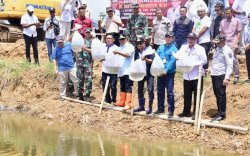 Tingkatkan Ketahanan Pangan, 50.000 Benih Nila Dilepas di Embung Kecamatan Mare