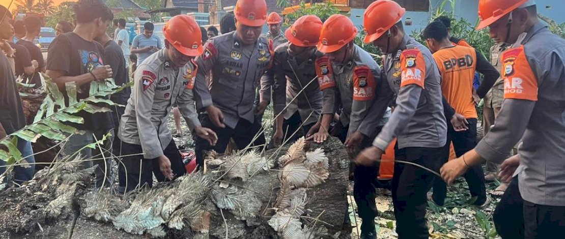 Hujan lebat yang terjadi pada Sabtu, 18 November 2023, mengakibatkan sebuah pohon besar di Jalan Ammesangge Lingkungan Matekko, Kelurahan Apala, Kecamatan Barebbo, Kabupaten Bone, tumbang. Hujan lebat yang terjadi pada Sabtu, 18 November 2023, mengakibatkan sebuah pohon besar di Jalan Ammesangge Lingkungan Matekko, Kelurahan Apala, Kecamatan Barebbo, Kabupaten Bone, tumbang.