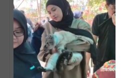 Warga Laikang Terima Layanan Vaksin Gratis dan Pemeriksaan Kesehatan untuk Hewan Peliharaan&nbsp;