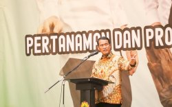 Kementan Optimasi Lahan Rawa dan Lahan Non Irigasi, Tingkatkan Produksi Padi dan Jagung