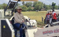 Jadi Penyelamat, Akademisi IPB Dukung Kebijakan Tanam di Lahan Rawa 