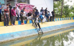 21 Ribu Benih Ikan Ditebar di Kolam Desa Wollangi, Program Ketahanan Pangan Pj Gubernur Sulsel