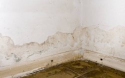 7 Tips  Bikin Dinding Anti-Rusak Selama Musim Hujan