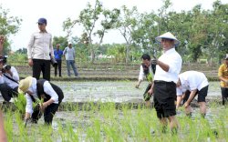 HIMA IPB Dukung Kementan Optimalkan Lahan Rawa Jadi Lahan Produktif