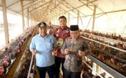 Sektor Peternakan di Kabupaten Gowa Dinilai Berpotensi Besar