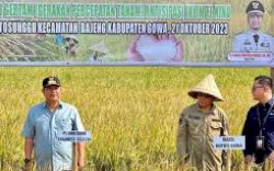Panen Raya di Gowa, Pj Gubernur Sulsel Puji&nbsp; Petani Bajeng 