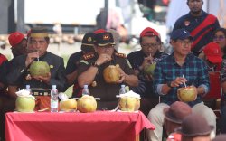 Festival Budaya Maritim, Pemkab Selayar - Kemendikbudristek Gelar Minum Air Kelapa Serentak