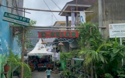 Pertama di Makassar, Tanaman Strawberry Dibudidayakan di Lorong Wisata D-Kelor