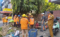 Camat Makassar Intens Awasi Pemangkasan Pohon dan Kebersihan
