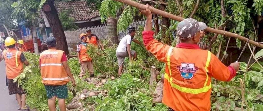 Cegah Pohon Tumbang, Pemerintah Kecamatan Makassar Lakukan Pemangkasan