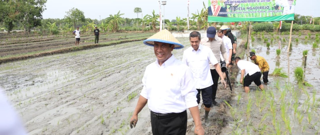 Nilai tukar petani pada periode Oktober 2023 mencapai 116,73 atau naik sebesar 0,82 persen.