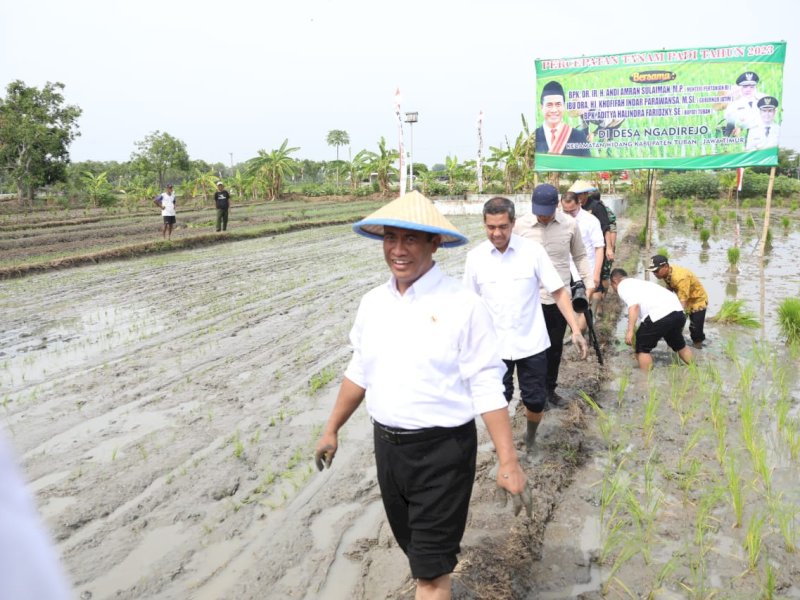Nilai Tukar Petani Bulan Oktober Capai 116,73, Naik 0,82 Persen