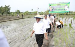 Nilai Tukar Petani Bulan Oktober Capai 116,73, Naik 0,82 Persen