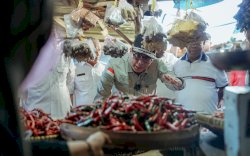 Wamentan Sidak Pasar di Manokwari Jelang Nataru, Minta Pemda Jaga Disparitas Harga Pangan