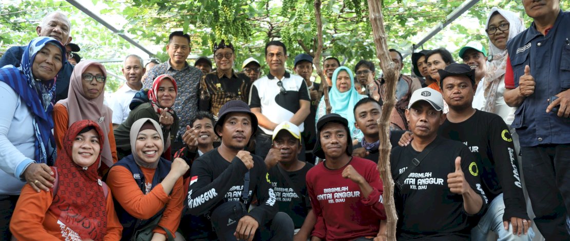 Menteri Pertanian, Andi Amran Sulaiman, turun meninjau petani anggur di Kota Palu di sela acara Jambore Penyuluh Pertanian, Minggu, 5 November 2023.