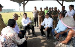 Mentan Amran Libatkan Anak Muda dan Penyuluh Untuk Optimalkan Lahan Rawa