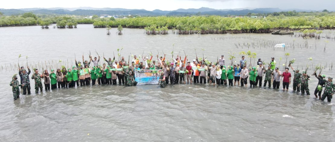 Kodim 1415 Kepulauan Selayar melakukan Karya Bakti dan Program Penanaman Pohon Mangrove di Pantai Barat Kampung Padang, Desa Bontosunggu, Kecamatan Bontoharu, Kamis, 7 Desember 2023.